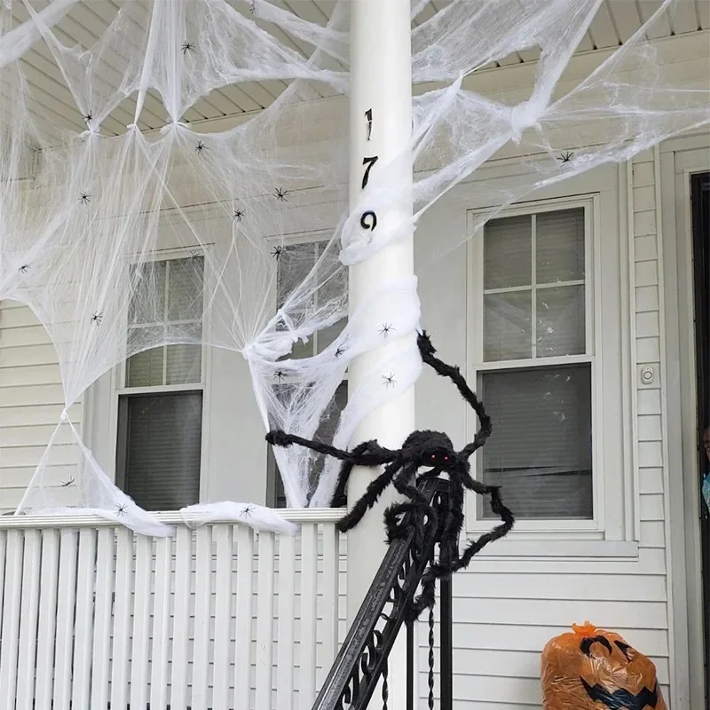 قطعة أو قطعتان من شبكة العنكبو - مراجعة Spider Web Halloween Decoration وسعره